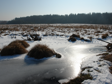 Światowy Dzień Mokradeł – 02.02.2024, 